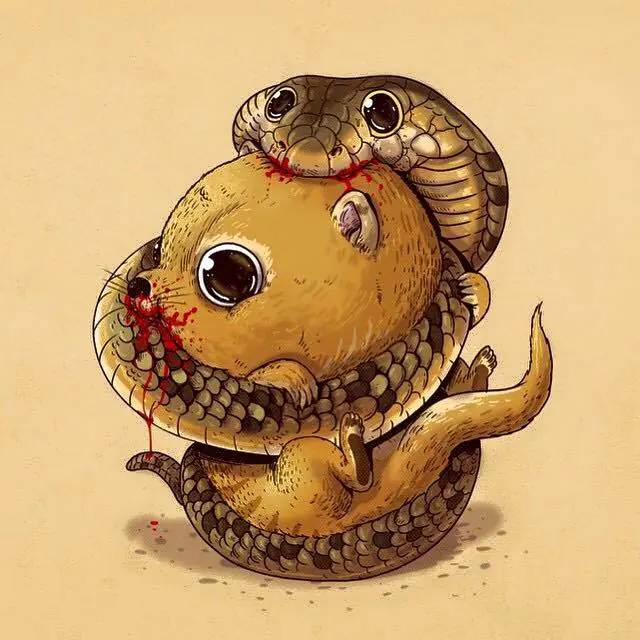 Animales Animales