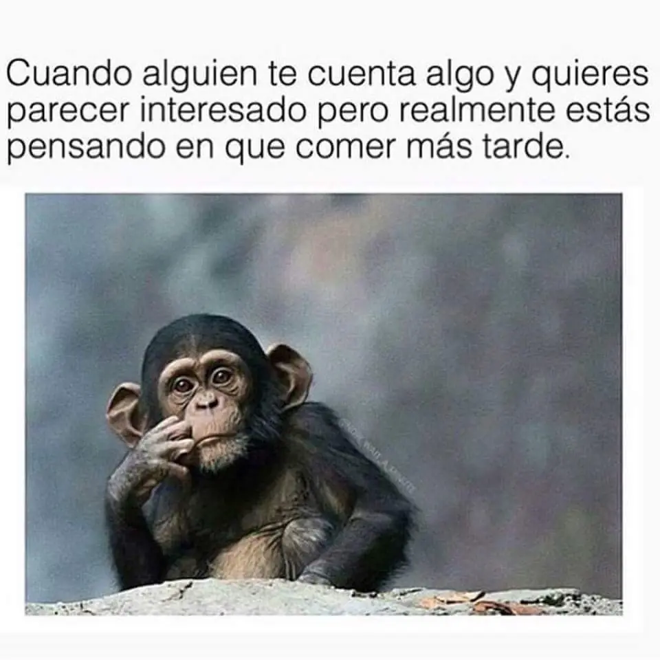 reite