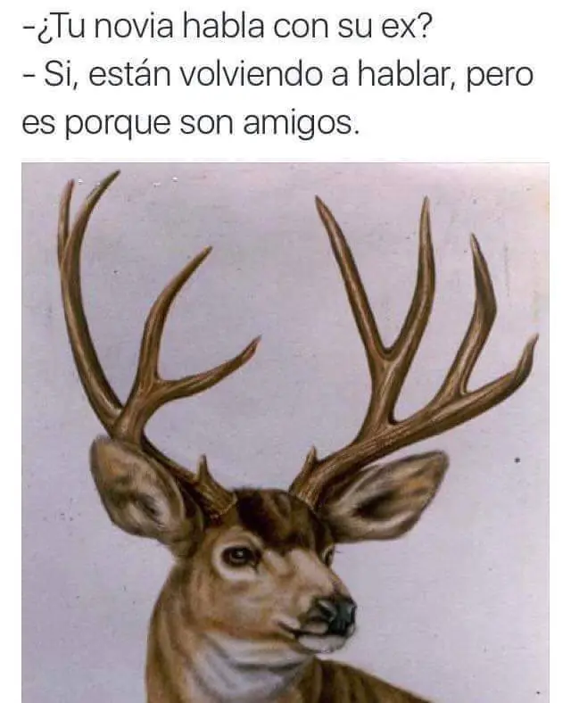 imagenes
