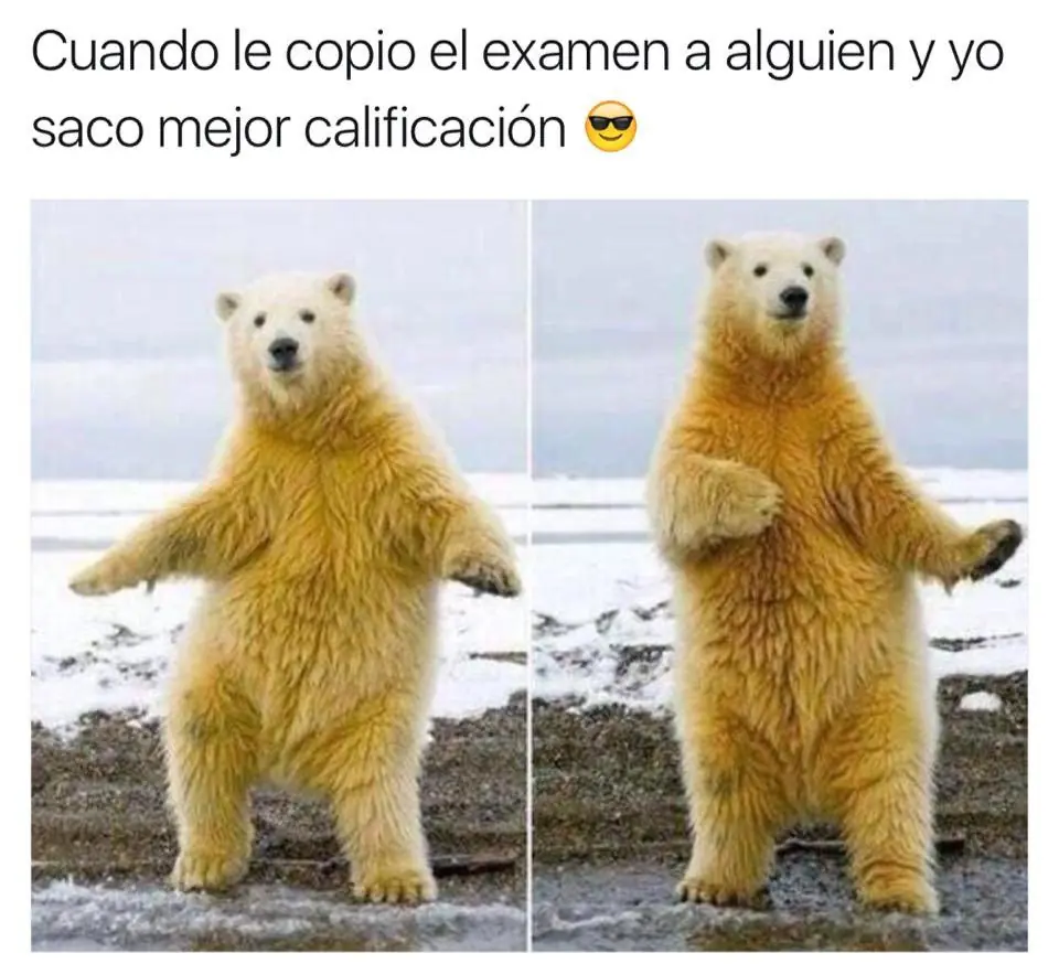 fotos de humor