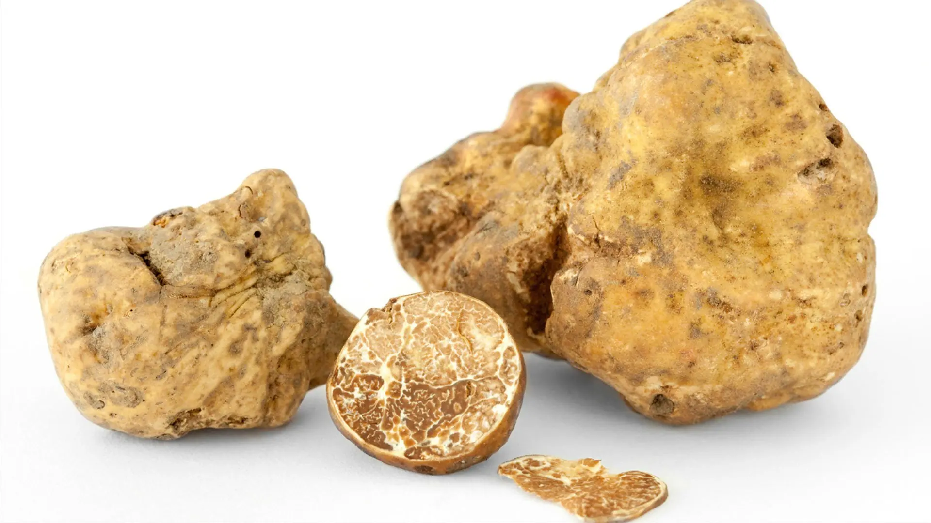 alimentos