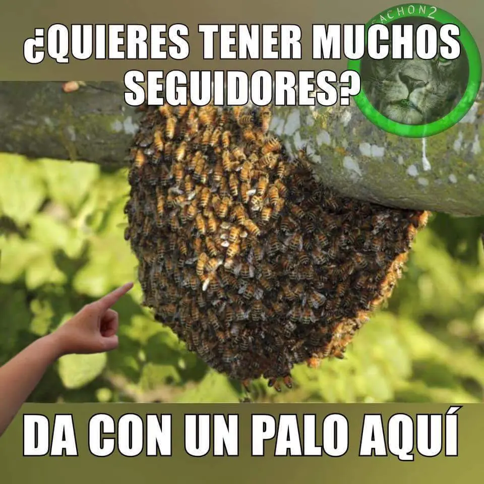 imagenes
