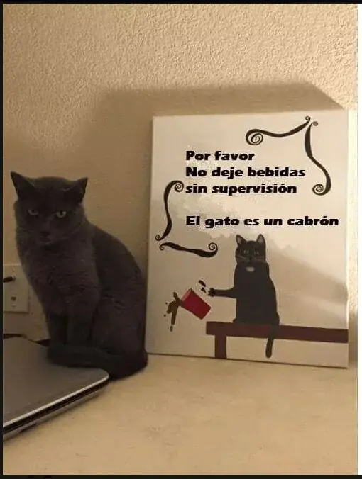 imagenes