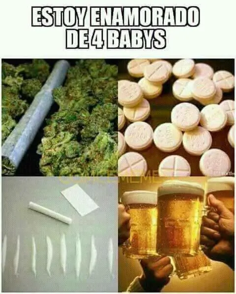 humor memes