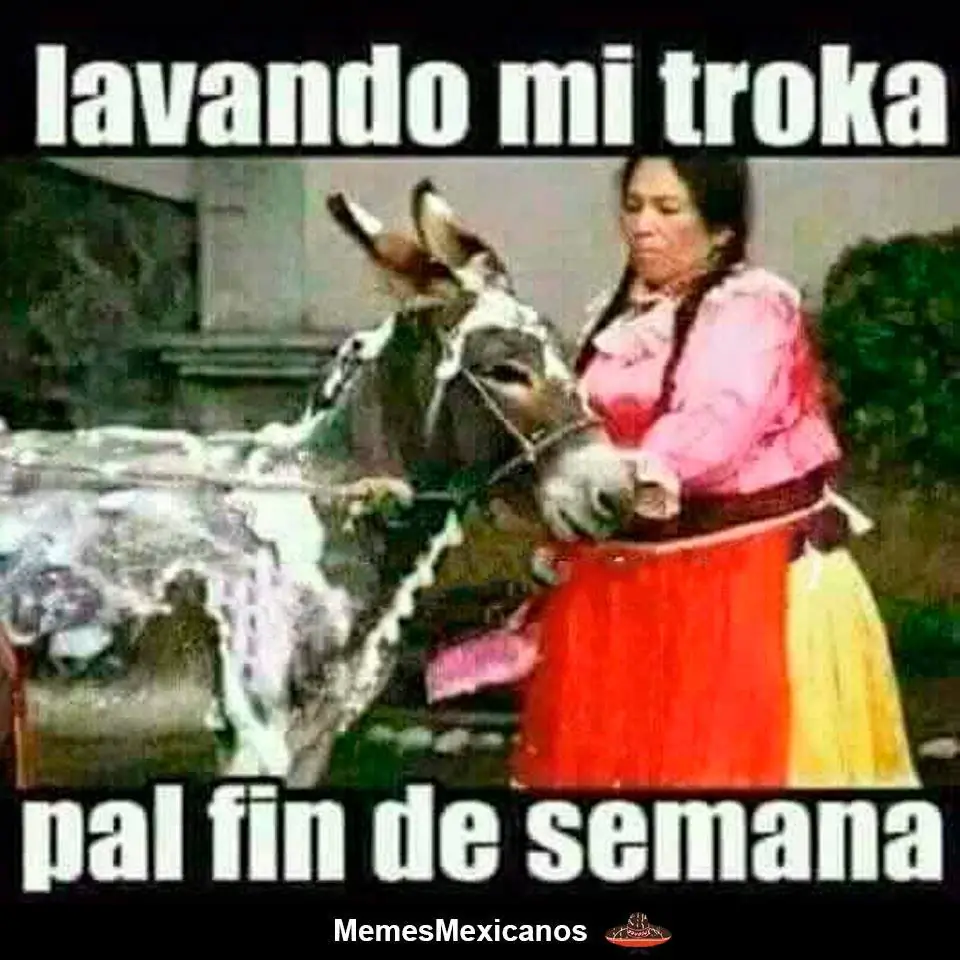 humor