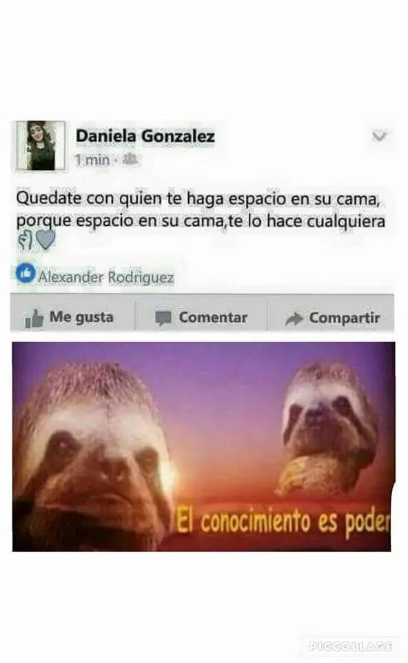 reite