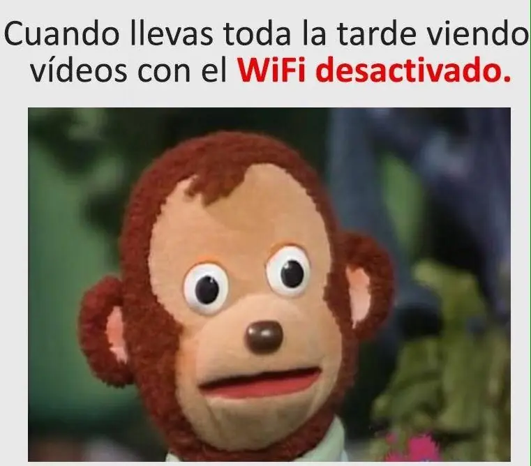 reite