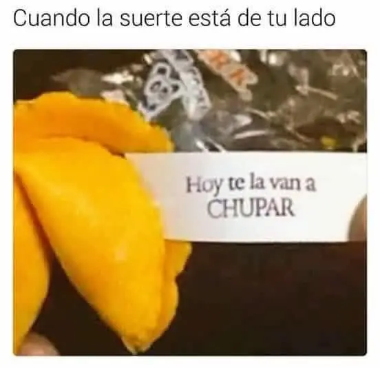 Imagenes de humor para linces nocturnos