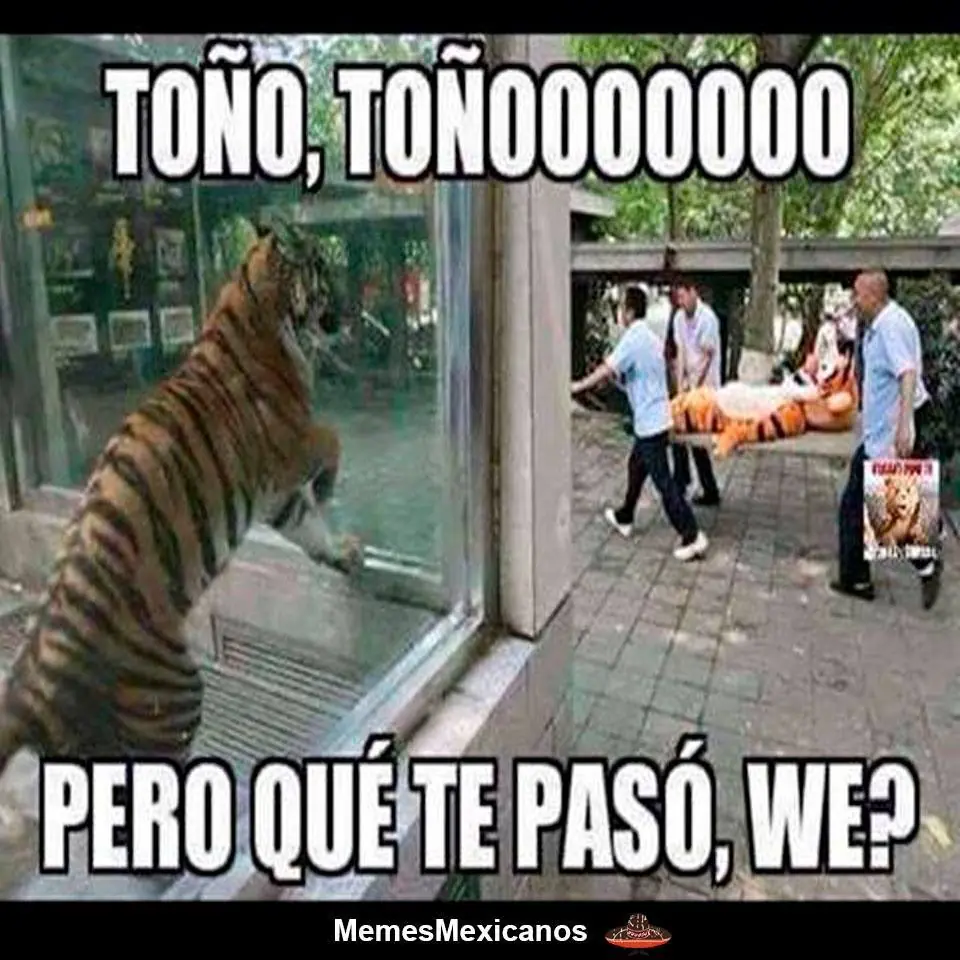 memes mexicanos