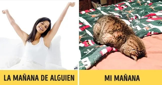 siempre