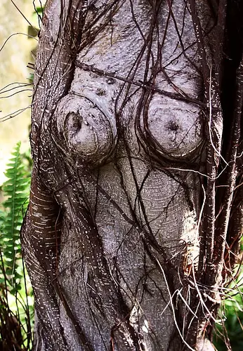 femen