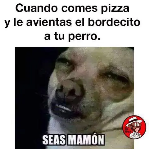 humor