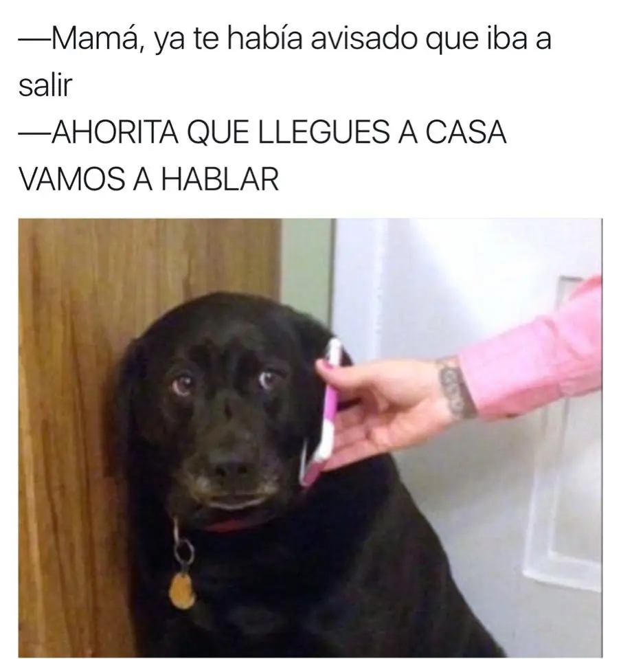 imagenes de humor