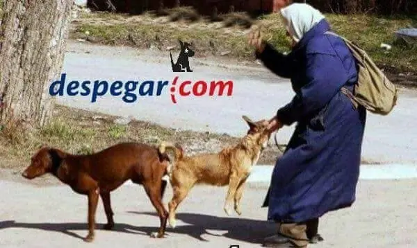 imagenes