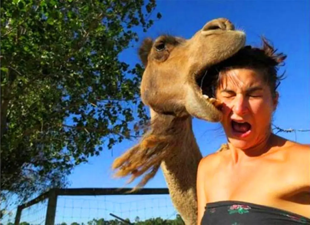 Arabes admiten que mujer es mamifero pero no humana.