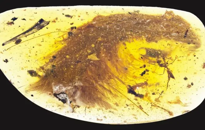 dinosaurio dinosaurio