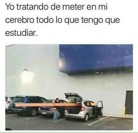 humor taringuero