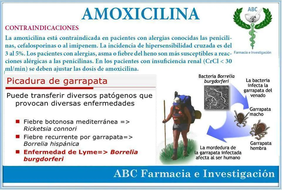 medicamentos