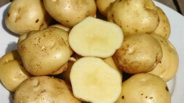 Los 10 alimentos más caros del mundo