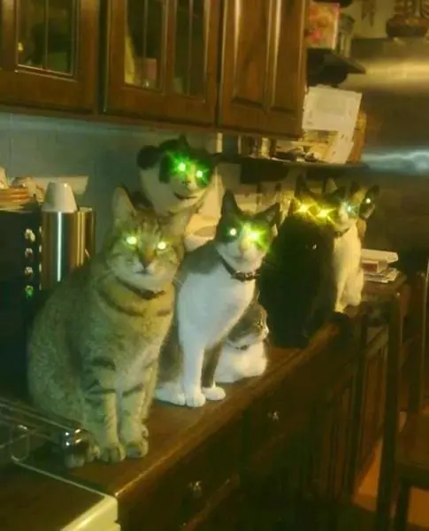 horror