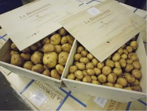 alimentos