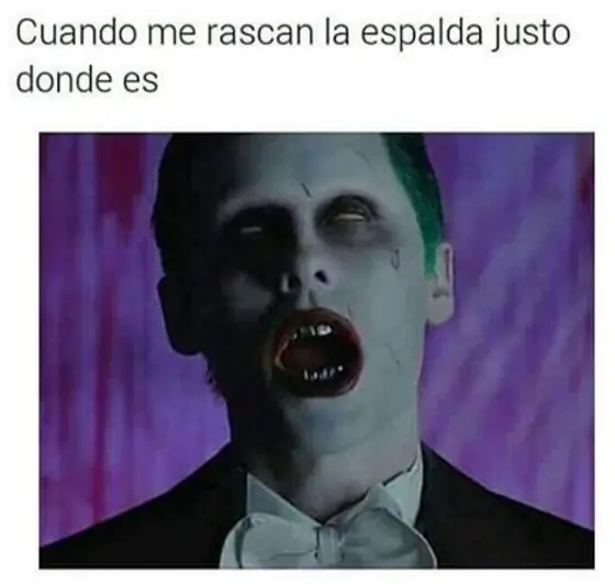 memes mexicanos