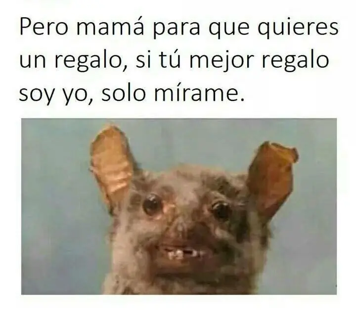 noche de risas