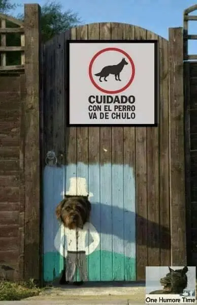Reite con estas imagenes Rufian