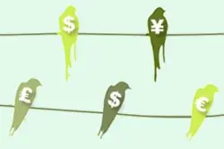 dolar paralelo dolar paralelo