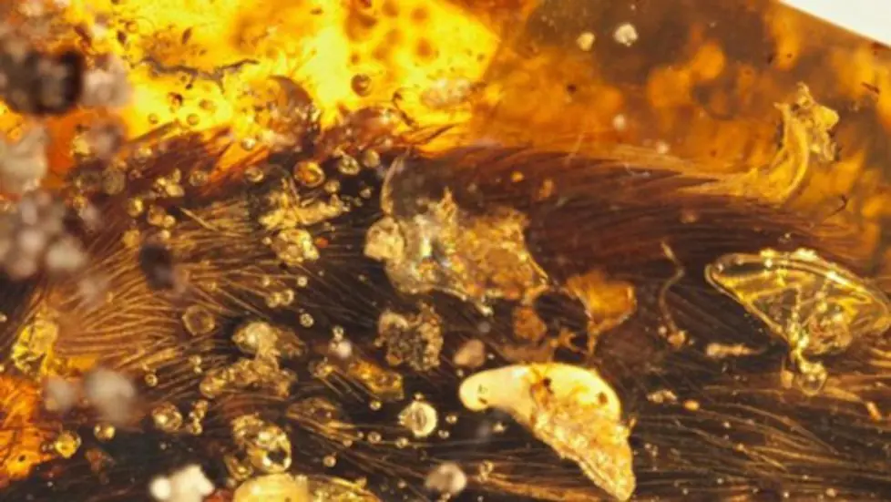 Cola de dinosaurio