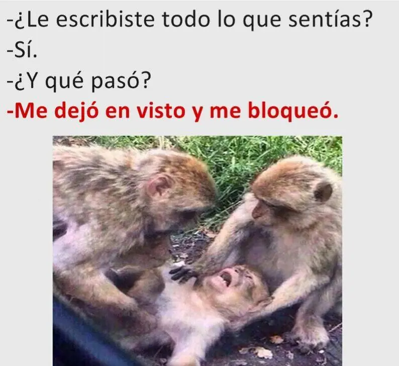 Reite con estas imagenes Rufian