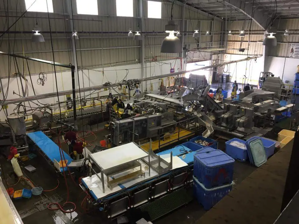 Trabaje en Alaska y te lo muestro Part 2