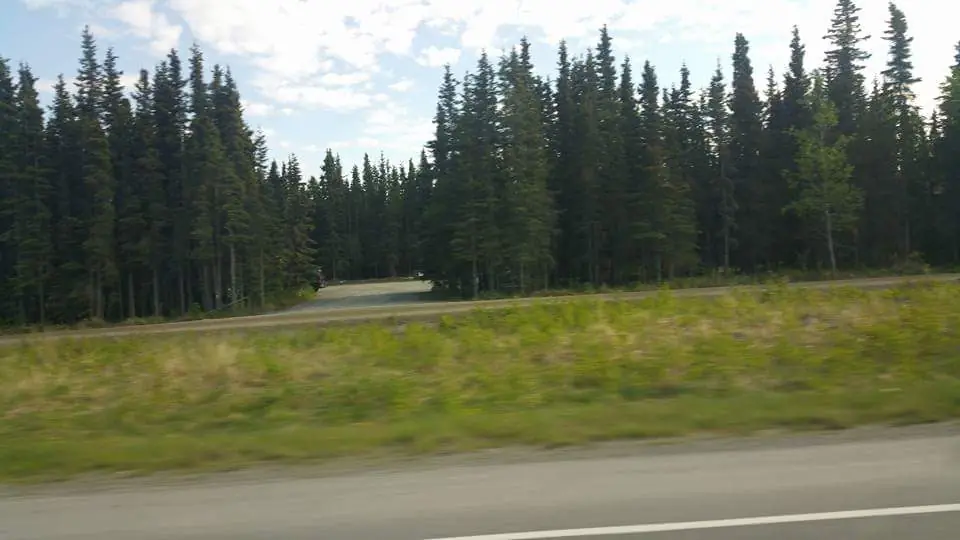 Trabaje en Alaska y te lo muestro Part 2