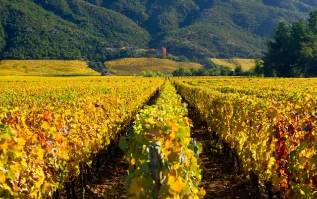 chile
