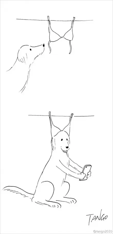 reir