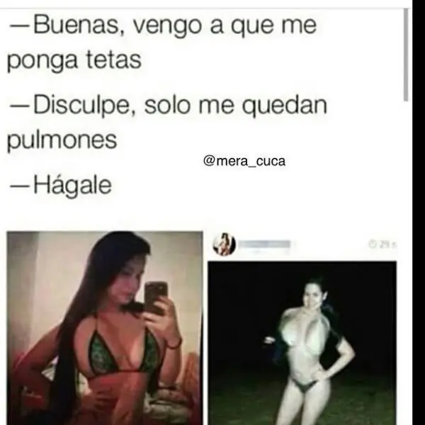 humor taringuero