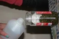 CANNABIS