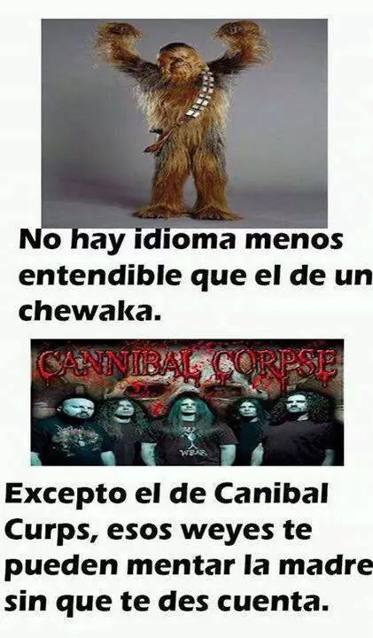 memes