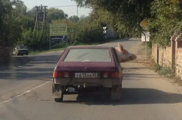 En Rusia son unos loquillos