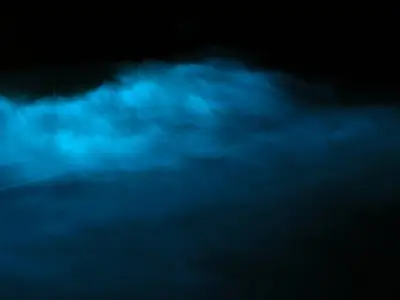 Olas bioluminiscentes,
