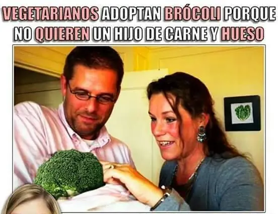 humor memes