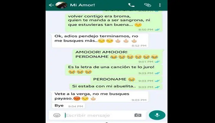 novia novia