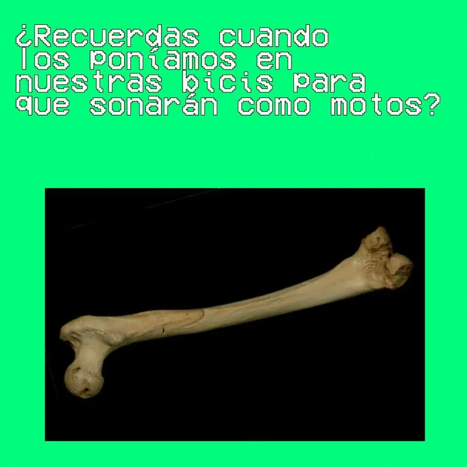 humor taringuero