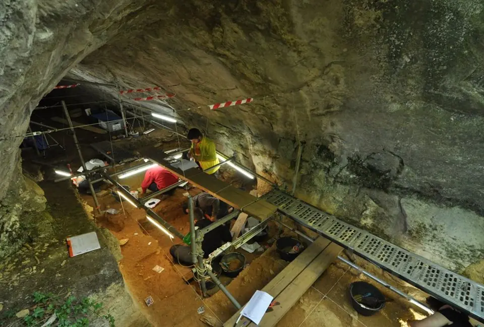 Los neandertales sufrieron estrés poblacional