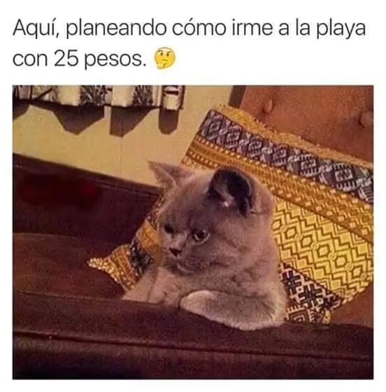 imagenes