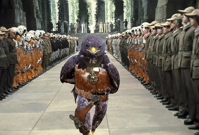 halcon