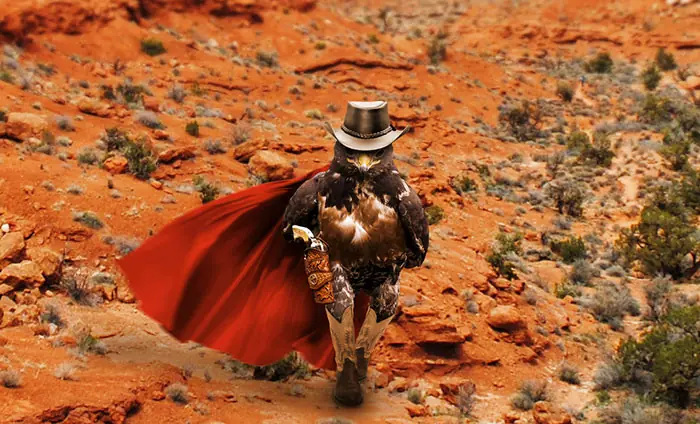 Este rudo halcón provocó la más épica batalla de Photoshop