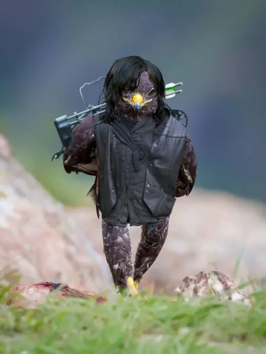halcon