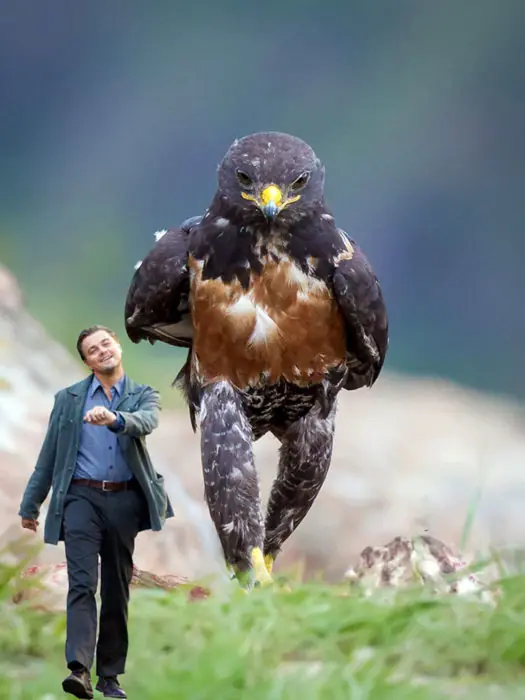 Batalla