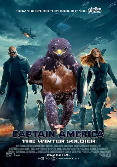 halcon
